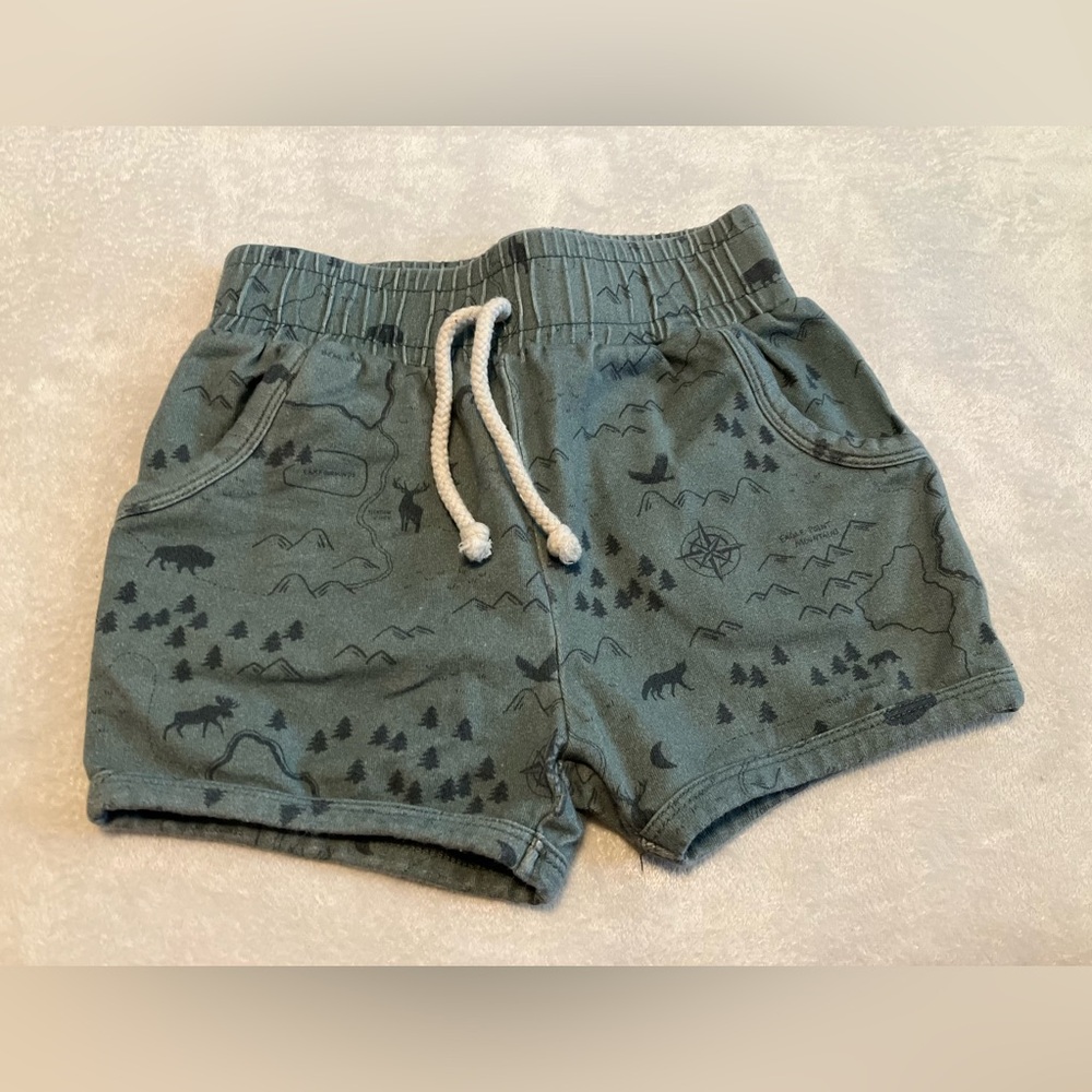 Woodland Animal Tree Green Patterned Shorts